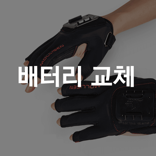 장갑 배터리 교체